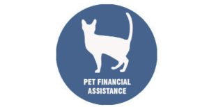 help with vet bills UK